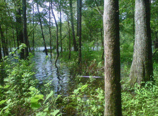 National Wetlands Condition Assessment