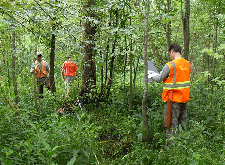 National Wetlands Condition Assessment