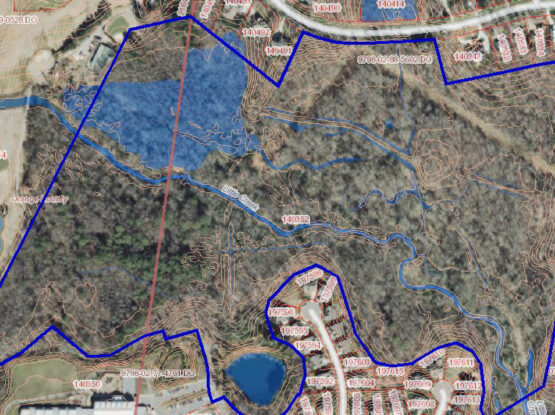 Meadowmont Trail Bridges – Wetlands and TnE Survey