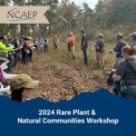 Falcon’s Environmental Services Manager, Christopher Burkhardt, who serves as the Workshop Coordinator for the North Carolina Association of Environmental Professionals, recently organized registration and logistics for the Rare Plant & Natural Communities Workshop in Uwharrie National Forest. This full-day field trip was led by the North Carolina Natural Heritage Program (@ncnaturalheritage) and focused on identifying and understanding the habitats of the state-protected Georgia aster and federally listed Schweinitz’s sunflower. Participants also had the chance to observe several rare yellow pitcher plants and unique natural communities and wetland ecosystems. Along with a valuable educational experience, the event raised over $1,500 for the North Carolina Natural Heritage Program! Thank you NHP for all you do!